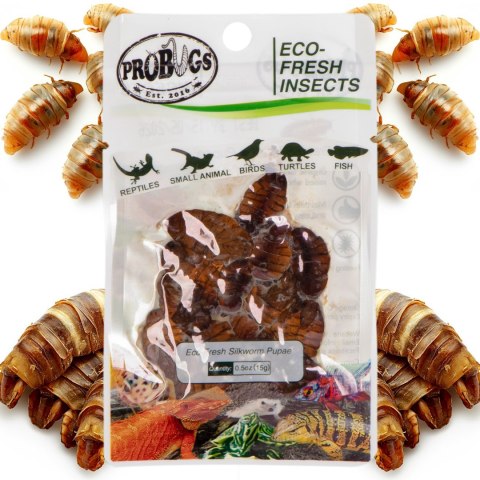 ProBugs Eco-Fresh Silkworm 15g - świeże larwy jedwabnika ProBugs Eco-Fresh Silkworm 15g - świeże larwy jedwabnika