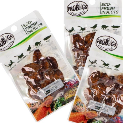 ProBugs Eco-Fresh Silkworm 15g - świeże larwy jedwabnika ProBugs Eco-Fresh Silkworm 15g - świeże larwy jedwabnika