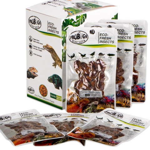 ProBugs Eco-Fresh Silkworm 15g - świeże larwy jedwabnika ProBugs Eco-Fresh Silkworm 15g - świeże larwy jedwabnika