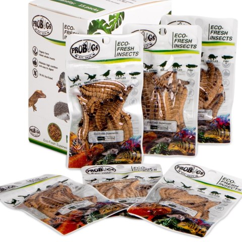 ProBugs Eco-Fresh Superworm 15 x 20g - świeże larwy drewnojada 15 saszetek ProBugs Eco-Fresh Superworm 15 x 20g - świeże larwy drewnojada 15 saszetek
