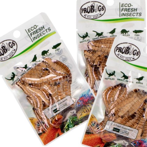 ProBugs Eco-Fresh Superworm 15 x 20g - świeże larwy drewnojada 15 saszetek ProBugs Eco-Fresh Superworm 15 x 20g - świeże larwy drewnojada 15 saszetek