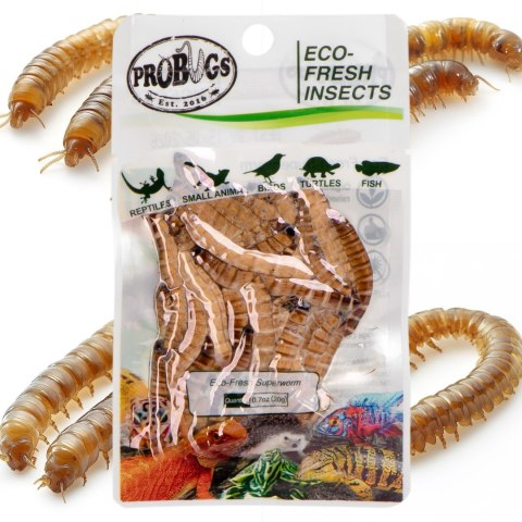 ProBugs Eco-Fresh Superworm 15 x 20g - świeże larwy drewnojada 15 saszetek ProBugs Eco-Fresh Superworm 15 x 20g - świeże larwy drewnojada 15 saszetek