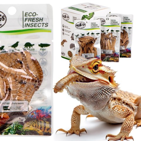 ProBugs Eco-Fresh Superworm 15 x 20g - świeże larwy drewnojada 15 saszetek ProBugs Eco-Fresh Superworm 15 x 20g - świeże larwy drewnojada 15 saszetek