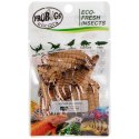 ProBugs Eco-Fresh Superworm 15 x 20g - świeże larwy drewnojada 15 saszetek