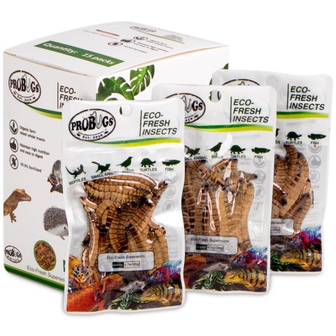 ProBugs Eco-Fresh Superworm 20g - świeże larwy drewnojada ProBugs Eco-Fresh Superworm 20g - świeże larwy drewnojada