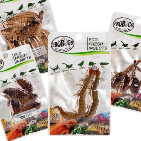 Probugs Big Reptiles Set - zestaw robaków dla dużych gadów Probugs Big Reptiles Set - zestaw robaków dla dużych gadów