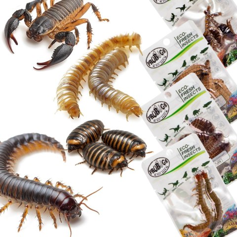 Probugs Big Reptiles Set - zestaw robaków dla dużych gadów Probugs Big Reptiles Set - zestaw robaków dla dużych gadów