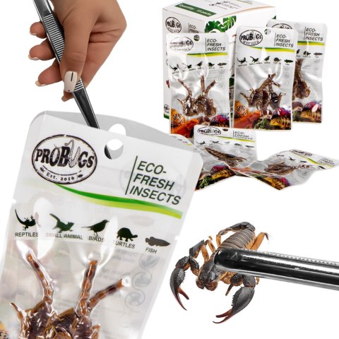 Probugs Big Reptiles Set - zestaw robaków dla dużych gadów Probugs Big Reptiles Set - zestaw robaków dla dużych gadów
