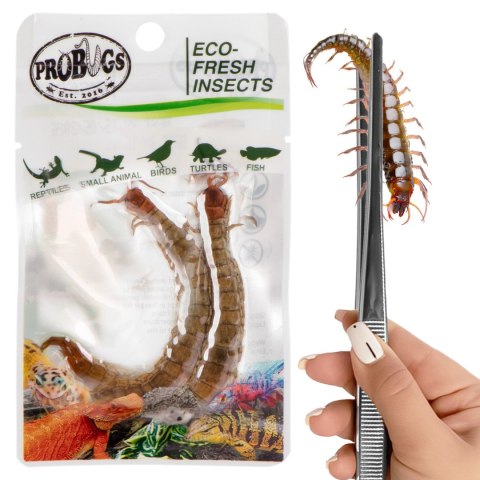 Probugs Big Reptiles Set - zestaw robaków dla dużych gadów Probugs Big Reptiles Set - zestaw robaków dla dużych gadów