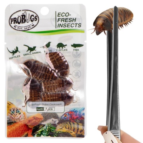 Probugs Big Reptiles Set - zestaw robaków dla dużych gadów Probugs Big Reptiles Set - zestaw robaków dla dużych gadów