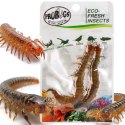 Probugs Big Reptiles Set - zestaw robaków dla dużych gadów