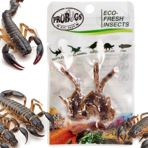 Probugs Big Reptiles Set - zestaw robaków dla dużych gadów Probugs Big Reptiles Set - zestaw robaków dla dużych gadów