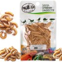Probugs Crested Gecko Set Plus - kompletna dieta dla gekonów orzęsionych robaki i żel z witaminami