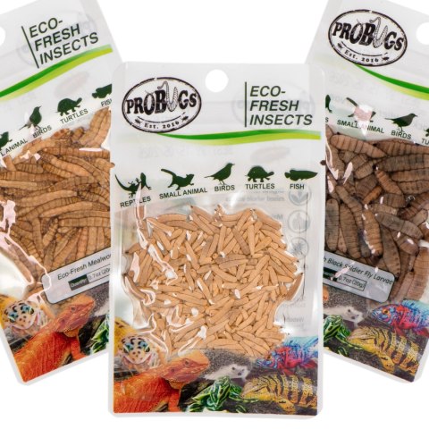 Probugs Small Gecko and Amphibians Set - zestaw dla małych gadów i płazów Probugs Small Gecko and Amphibians Set - zestaw dla małych gadów i płazów