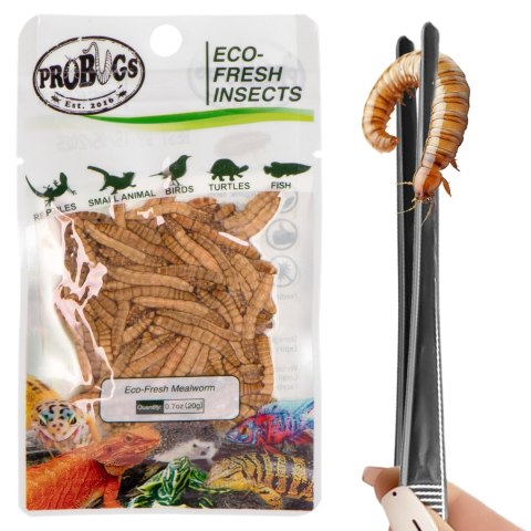 Probugs Small Gecko and Amphibians Set - zestaw dla małych gadów i płazów Probugs Small Gecko and Amphibians Set - zestaw dla małych gadów i płazów