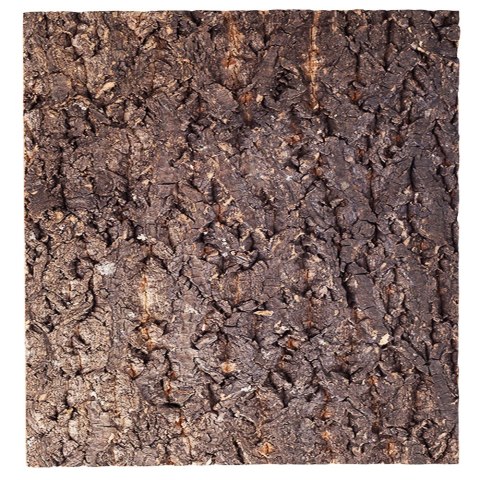 Repti-Zoo Big Tree Background - tło z kory do terrarium 45x45cm Repti-Zoo Big Tree Background - tło z kory do terrarium 45x45cm