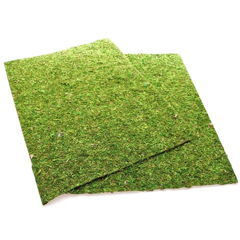 Repti-Zoo Natural Moss Back&Bottom - tło i podłoże z mchu 50x25cm Repti-Zoo Natural Moss Back&Bottom - tło i podłoże z mchu 50x25cm