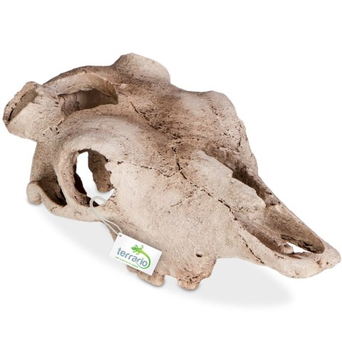 Terrario Buffalo Skull - czaszka bizona do terrarium 21x12x8 cm Terrario Buffalo Skull - czaszka bizona do terrarium 21x12x8 cm