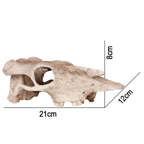 Terrario Buffalo Skull - czaszka bizona do terrarium 21x12x8 cm Terrario Buffalo Skull - czaszka bizona do terrarium 21x12x8 cm