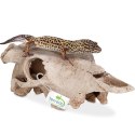 Terrario Buffalo Skull - czaszka bizona do terrarium 21x12x8 cm