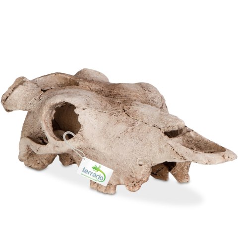 Terrario Buffalo Skull - czaszka bizona do terrarium 21x12x8 cm Terrario Buffalo Skull - czaszka bizona do terrarium 21x12x8 cm