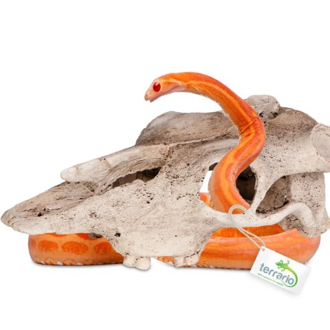 Terrario Buffalo Skull - czaszka bizona do terrarium 21x12x8 cm Terrario Buffalo Skull - czaszka bizona do terrarium 21x12x8 cm