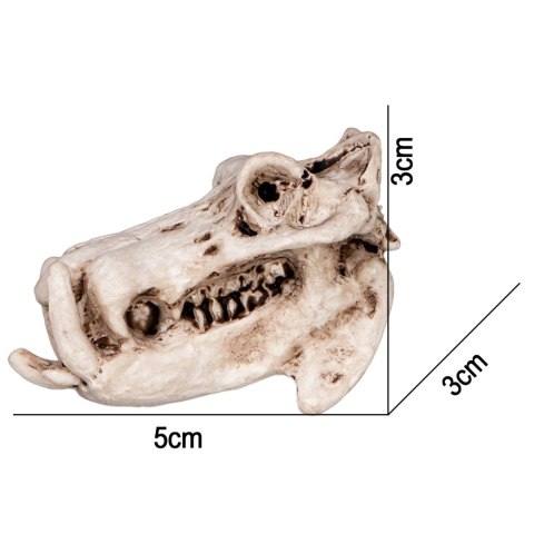 Terrario Hippo Skull - czaszka hipopotama do terrarium 5x3x3 cm Terrario Hippo Skull - czaszka hipopotama do terrarium 5x3x3 cm
