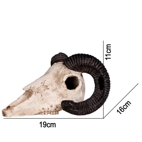 Terrario Ram Skull - czaszka barana do terrarium 19x16x11 cm Terrario Ram Skull - czaszka barana do terrarium 19x16x11 cm