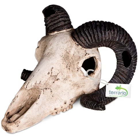 Terrario Ram Skull - czaszka barana do terrarium 19x16x11 cm Terrario Ram Skull - czaszka barana do terrarium 19x16x11 cm
