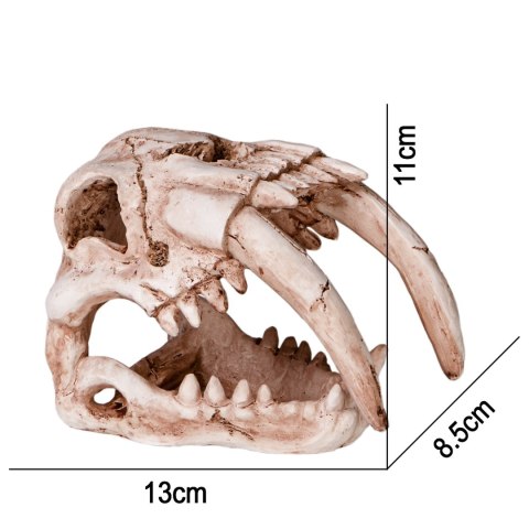 Terrario Sabertooth Skull - czaszka tygrysa do terrarium 13x8,5x11 cm Terrario Sabertooth Skull - czaszka tygrysa do terrarium 13x8,5x11 cm