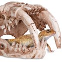 Terrario Sabertooth Skull - czaszka tygrysa do terrarium 13x8,5x11 cm