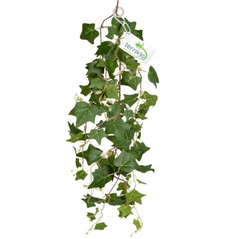 Terrario - Sztuczna Roślina do Terrarium - Bluszcz Zwisający 75 cm Terrario - Sztuczna Roślina do Terrarium - Bluszcz Zwisający 75 cm