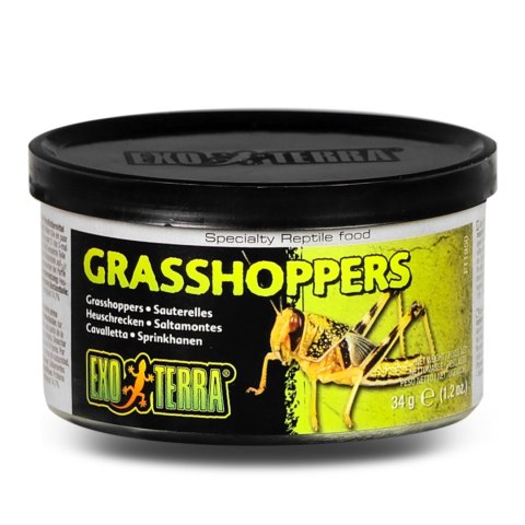 EXO TERRA Grasshoppers - pokarm w puszce konik polny EXO TERRA Grasshoppers - pokarm w puszce konik polny