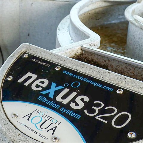 Evolution Aqua Nexus 320 International - filtr do oczka wodnego 68,000l Evolution Aqua Nexus 320 International - filtr do oczka wodnego 68,000l