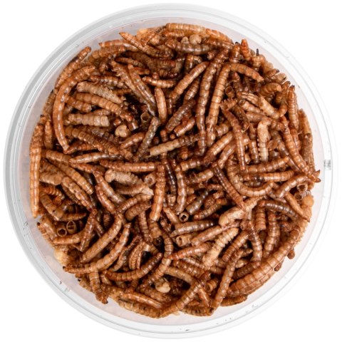 Terrario Repti Bites Mealworms 250ml - larwy mącznika suszone Terrario Repti Bites Mealworms 250ml - larwy mącznika suszone