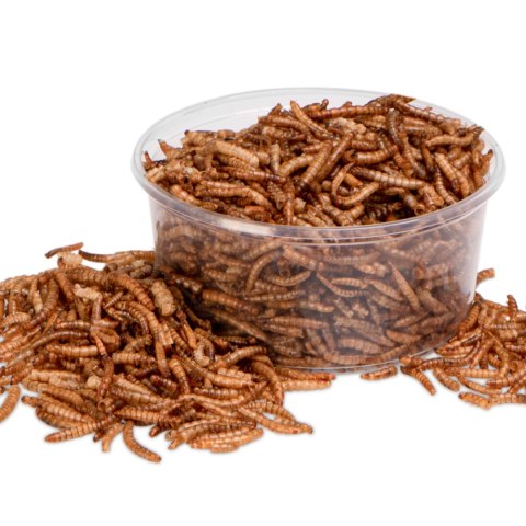 Terrario Repti Bites Mealworms 250ml - larwy mącznika suszone Terrario Repti Bites Mealworms 250ml - larwy mącznika suszone