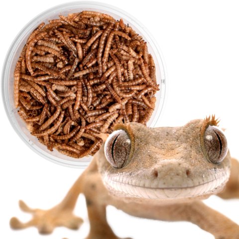 Terrario Repti Bites Mealworms 250ml - larwy mącznika suszone Terrario Repti Bites Mealworms 250ml - larwy mącznika suszone