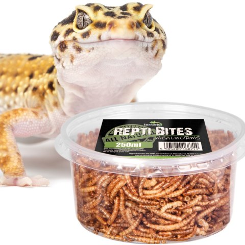 Terrario Repti Bites Mealworms 250ml - larwy mącznika suszone Terrario Repti Bites Mealworms 250ml - larwy mącznika suszone
