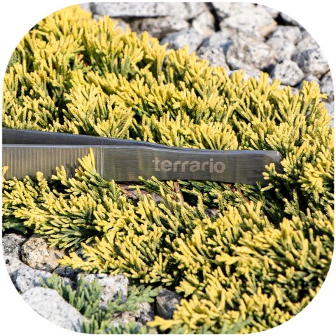 Terrario ViperTweez Simple XXL - pęseta prosta 48cm Terrario ViperTweez Simple XXL - pęseta prosta 48cm