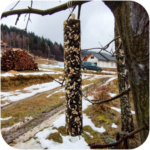 Gami Kolba XXL słonecznikowa 250g - pokarm dla ptaków dzikich Gami Kolba XXL słonecznikowa 250g - pokarm dla ptaków dzikich