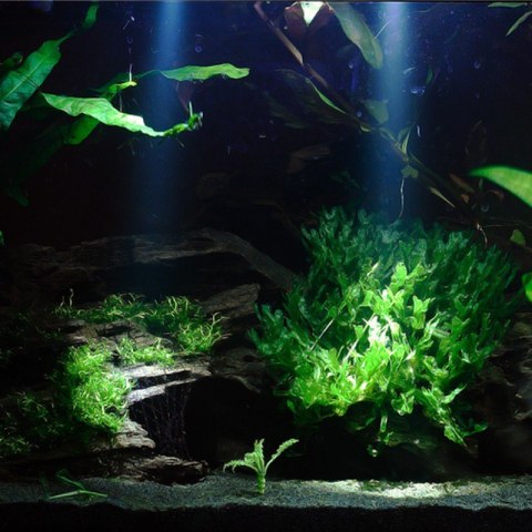 Jebao EL1 - punktowa lampa LED wodoodporna Jebao EL1 - punktowa lampa LED wodoodporna