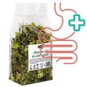 Alegia - codzienne zioła dla Żółwi 80g