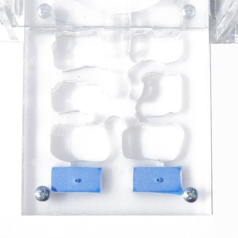 Ant Expert King's Valley - formikarium akrylowe profesjonalne Ant Expert King's Valley - formikarium akrylowe profesjonalne
