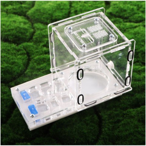 Ant Expert King's Valley - formikarium akrylowe profesjonalne Ant Expert King's Valley - formikarium akrylowe profesjonalne