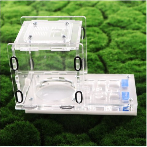 Ant Expert King's Valley - formikarium akrylowe profesjonalne Ant Expert King's Valley - formikarium akrylowe profesjonalne