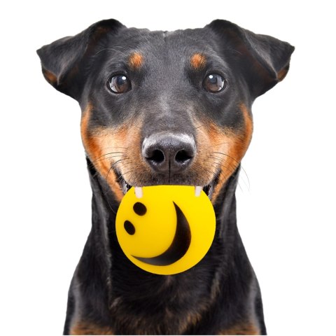 HappyPet Smiley Ball - uśmiechnięta piłeczka HappyPet Smiley Ball - uśmiechnięta piłeczka
