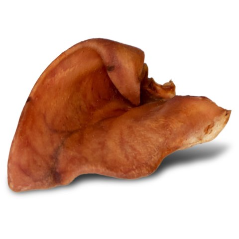 Dogario Bonni Pig's Ear L - duże wieprzowe ucho oferta hurtowa x50 Dogario Bonni Pig's Ear L - duże wieprzowe ucho oferta hurtowa x50