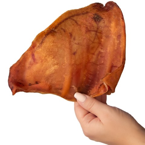 Dogario Bonni Pig's Ear L - duże wieprzowe ucho oferta hurtowa x50 Dogario Bonni Pig's Ear L - duże wieprzowe ucho oferta hurtowa x50