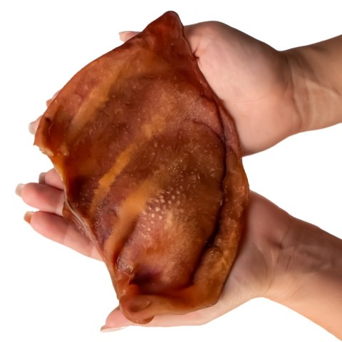 Dogario Bonni Pig's Ear L - duże wieprzowe ucho oferta hurtowa x50 Dogario Bonni Pig's Ear L - duże wieprzowe ucho oferta hurtowa x50
