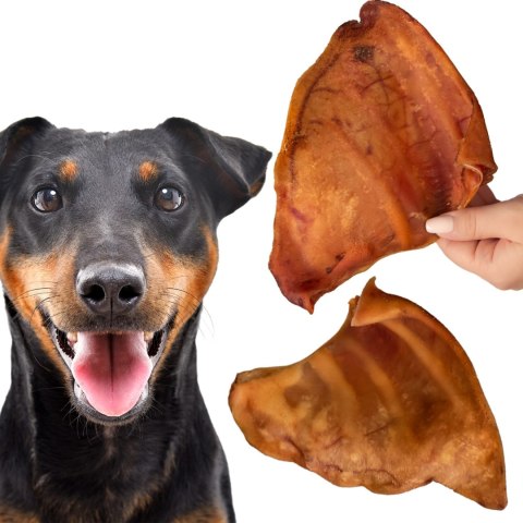 Dogario Bonni Pig's Ear L - duże wieprzowe ucho oferta hurtowa x50 Dogario Bonni Pig's Ear L - duże wieprzowe ucho oferta hurtowa x50